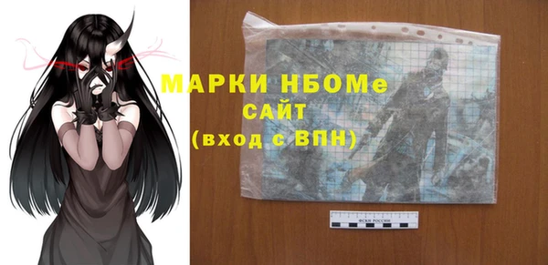 хмурый Алзамай