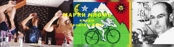 дурь Алексин