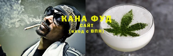 хмурый Алзамай