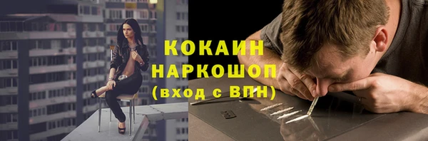 хмурый Алзамай