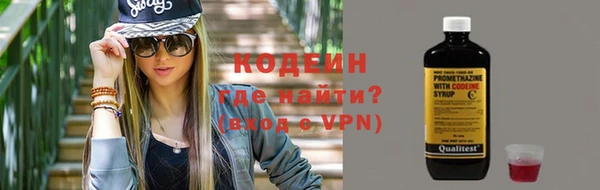 прущие грибы Абаза