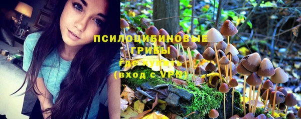 хмурый Алзамай