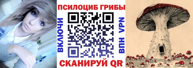 Псилоцибиновые грибы Psilocybe  KRAKEN онион  Нижние Серги 